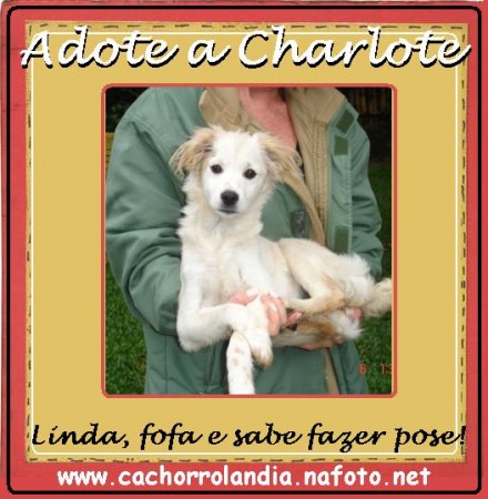 Charlote - final feliz